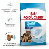   Royal Canin Maxi Starter      2 ,    , 15