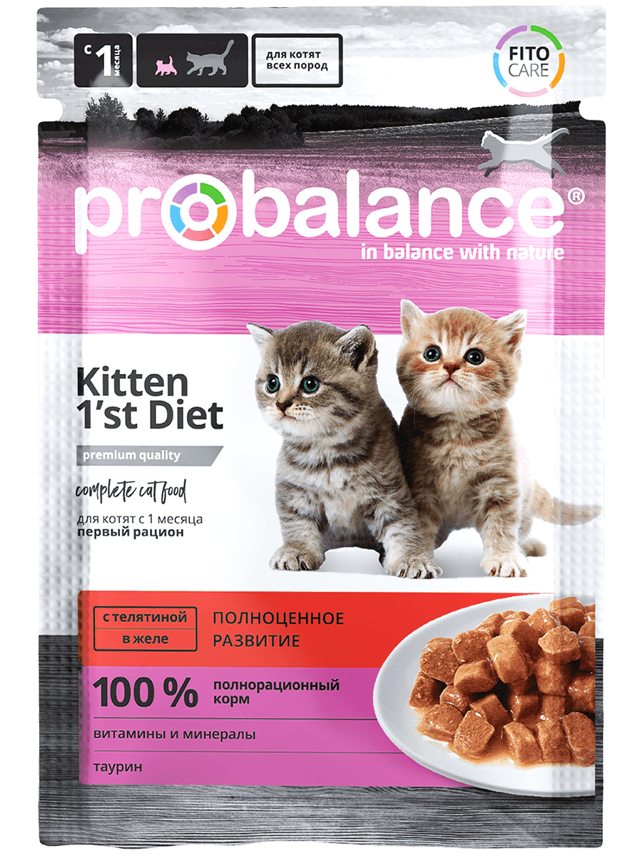 Консервированный корм для котят Probalance Kitten 1st Diet с телятиной в  желе, 85г - Корма для собак