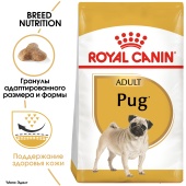 Сухой корм Royal Canin Pug Adult для взрослых собак породы мопс от 10 месяцев, 7,5кг