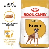   Royal Canin Boxer Adult          15 , 12