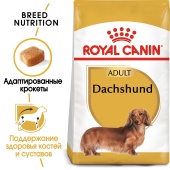 Сухой корм Royal Canin Dashshund Adult для собак породы такса от 10 месяцев, 7,5кг